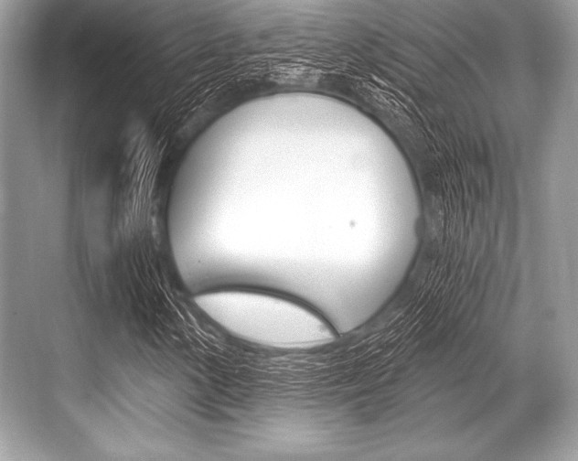 X0000068811154200605050909