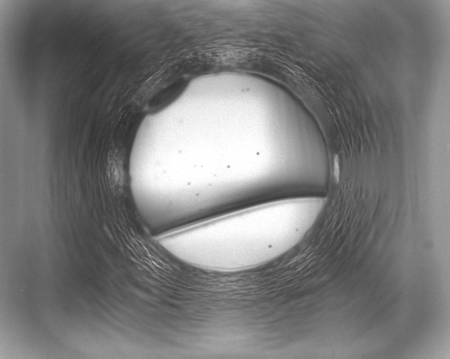 X0000068811155200605050909