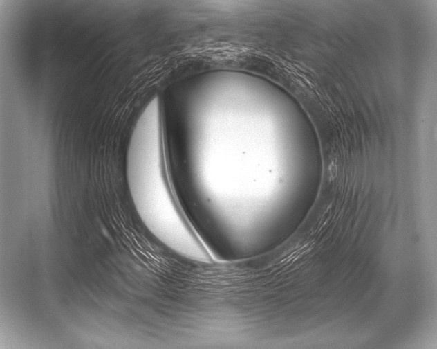 X0000068811156200605050909