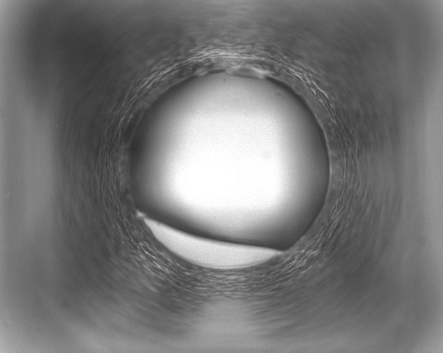 X0000068811157200605050909