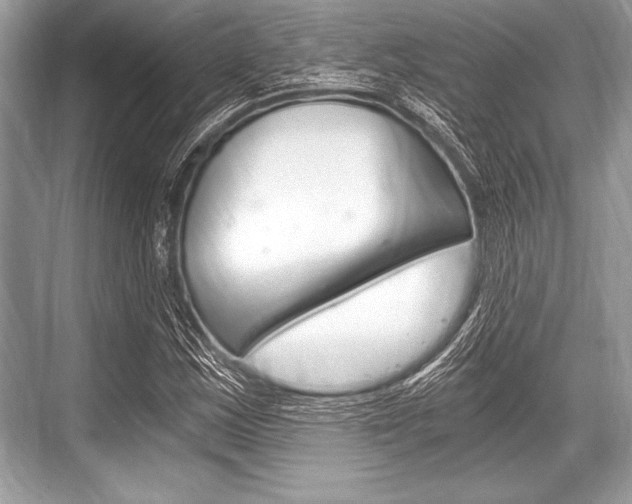 X0000068811163200605050909