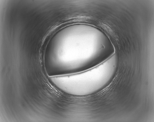 X0000068811164200605050909
