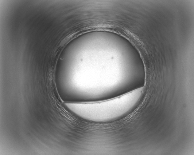 X0000068811169200605050909