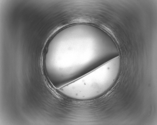 X0000068811179200605050909
