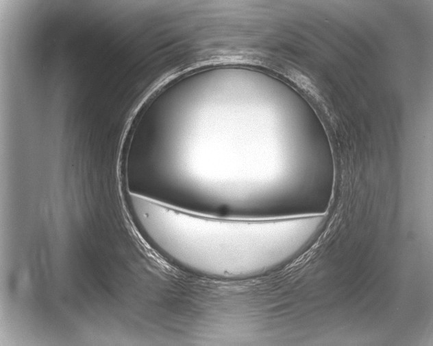 X0000068811181200605050909