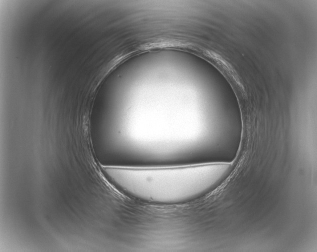 X0000068811185200605050909