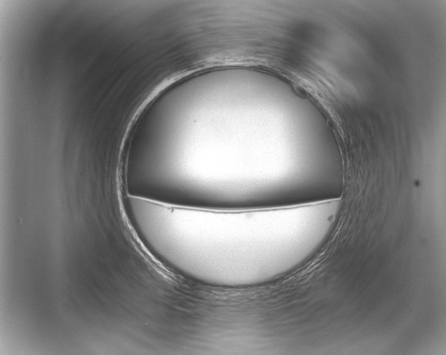 X0000068811187200605050909