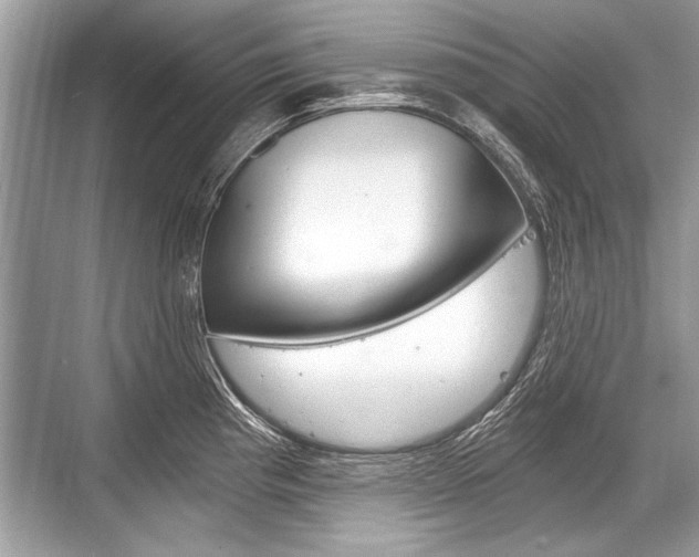 X0000068811193200605050908