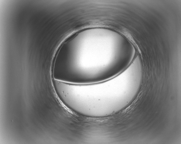 X0000068811197200605050908