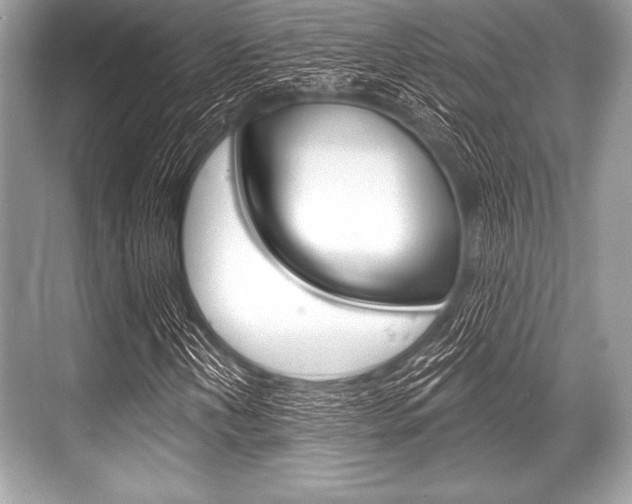 X0000068811202200605050908