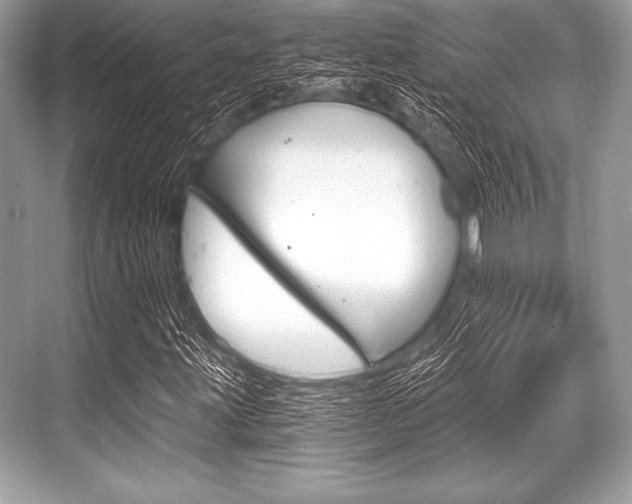 X0000068811203200605050908