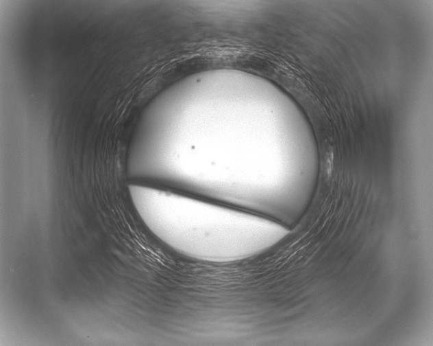X0000068811204200605050908