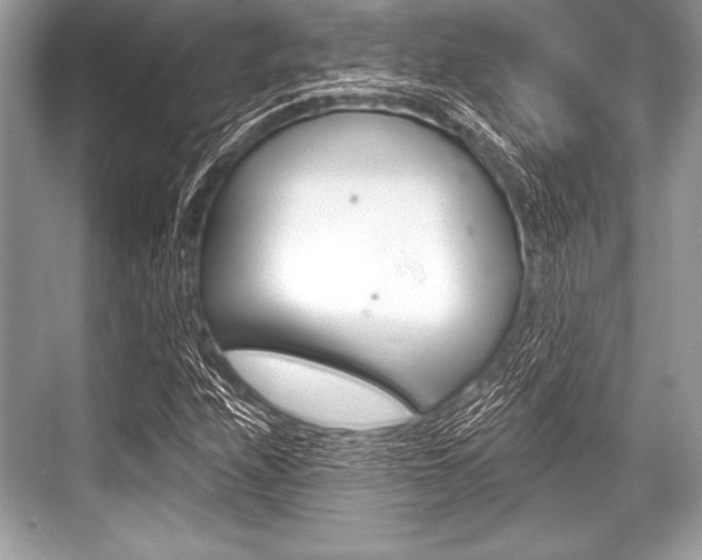 X0000068811208200605050908