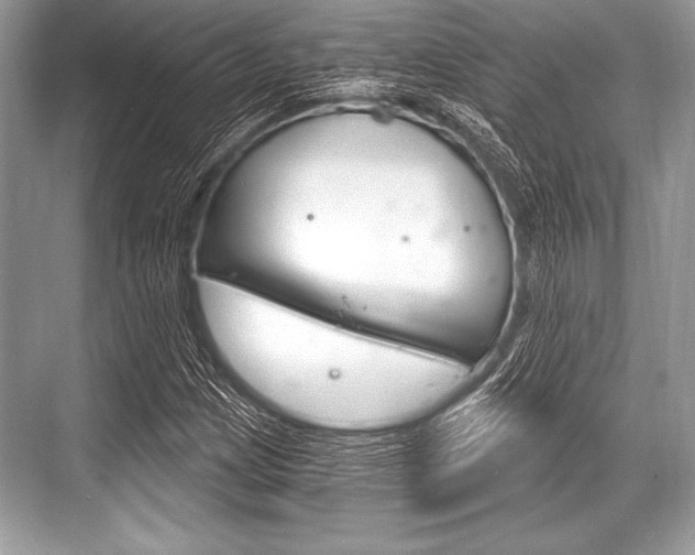 X0000068811209200605050908