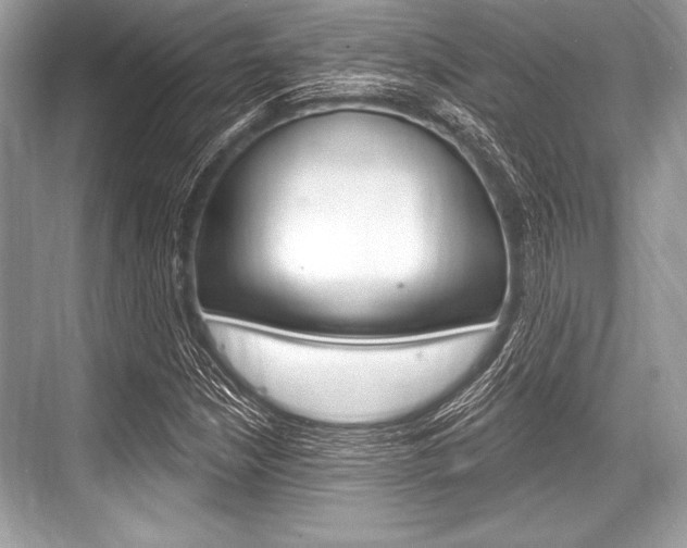 X0000068811210200605050908