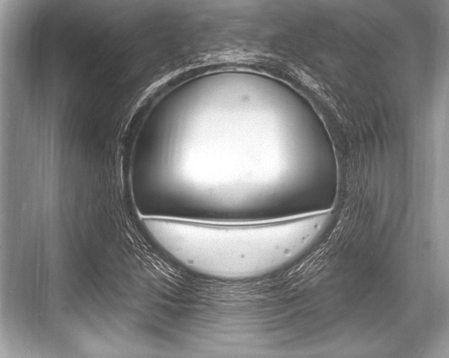X0000068811214200605050908