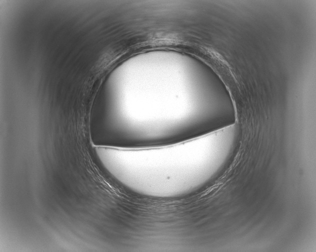 X0000068811217200605050908