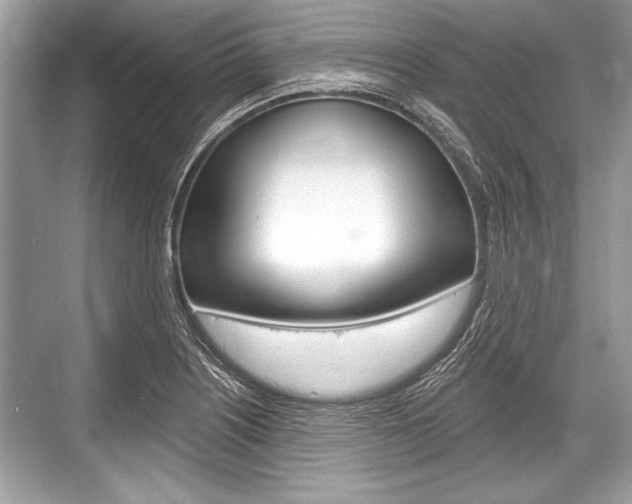 X0000068811226200605050908