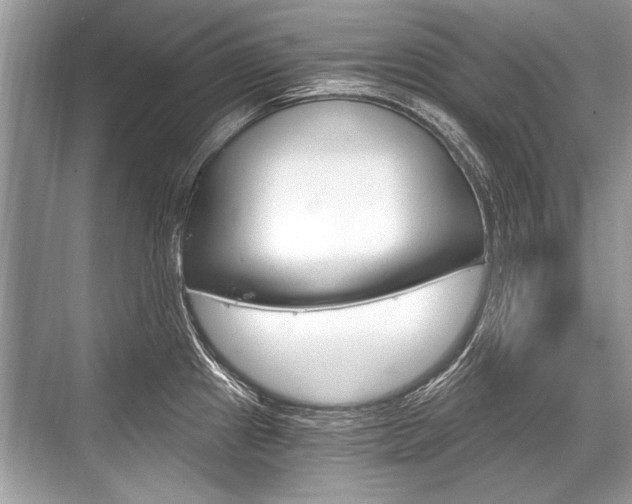 X0000068811241200605050908
