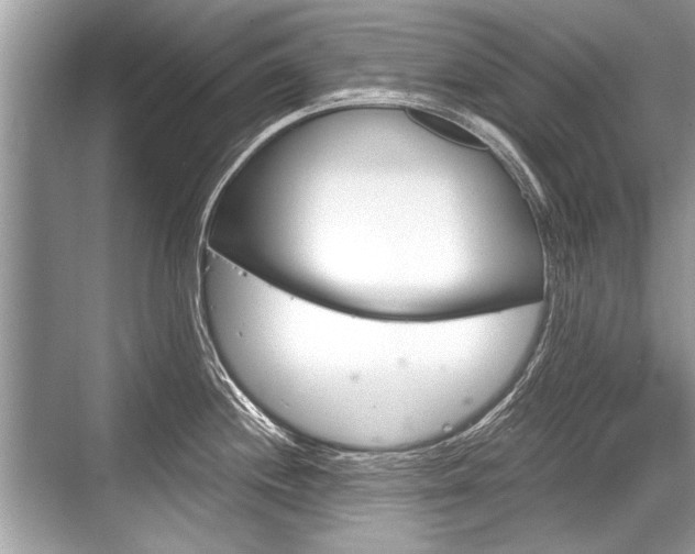 X0000068811244200605050908