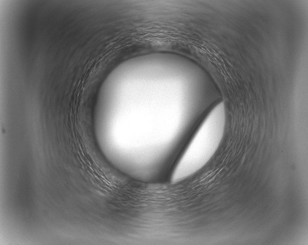 X0000068811249200605050908