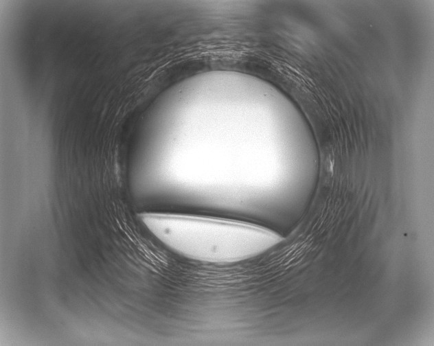 X0000068811252200605050907