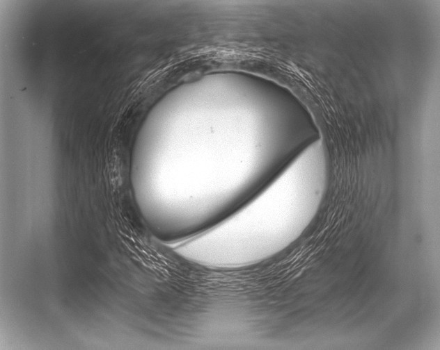 X0000068811253200605050907