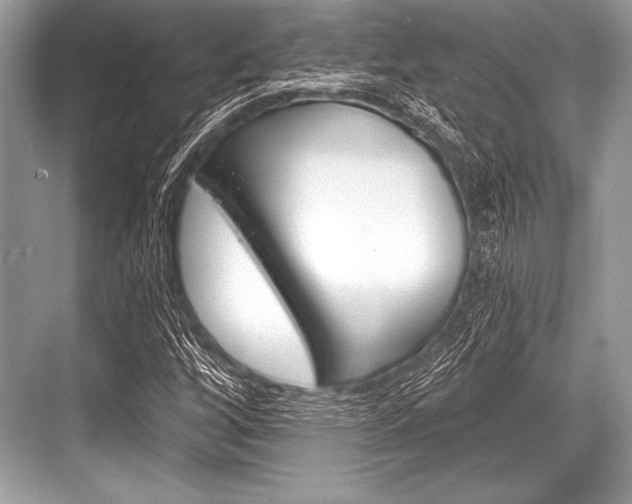 X0000068811256200605050907