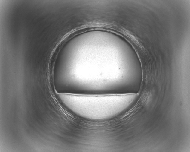 X0000068811264200605050907
