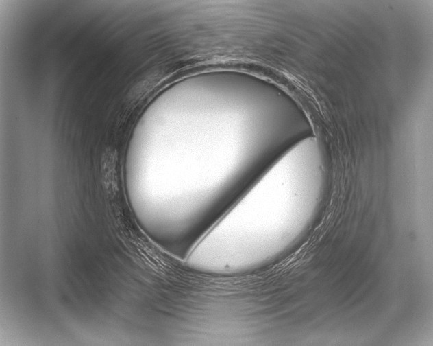 X0000068811265200605050907