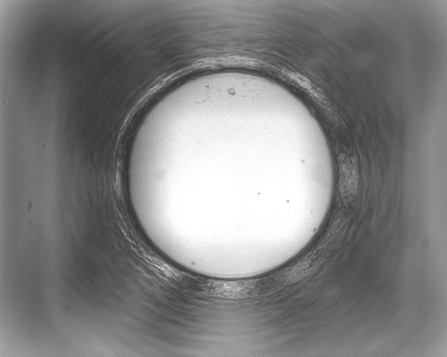 X0000068811266200605050907
