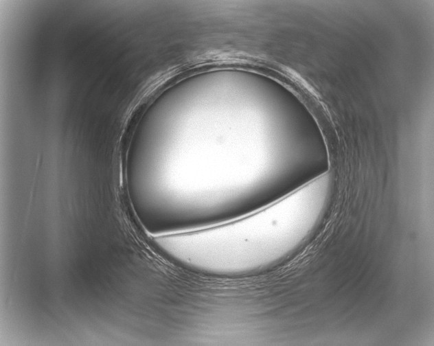X0000068811269200605050907