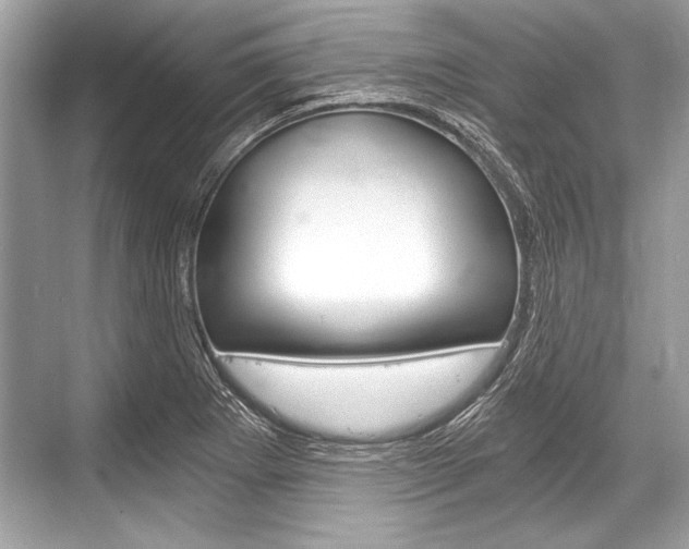 X0000068811273200605050907
