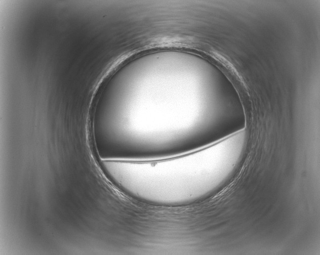 X0000068811277200605050907