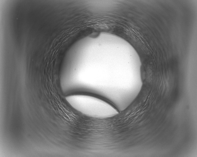 X0000068811297200605050906
