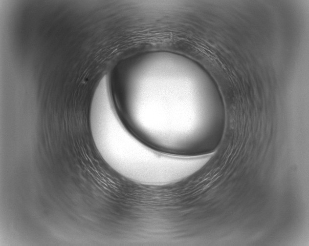 X0000068811298200605050906