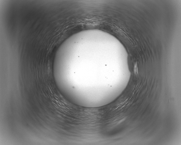 X0000068811299200605050906