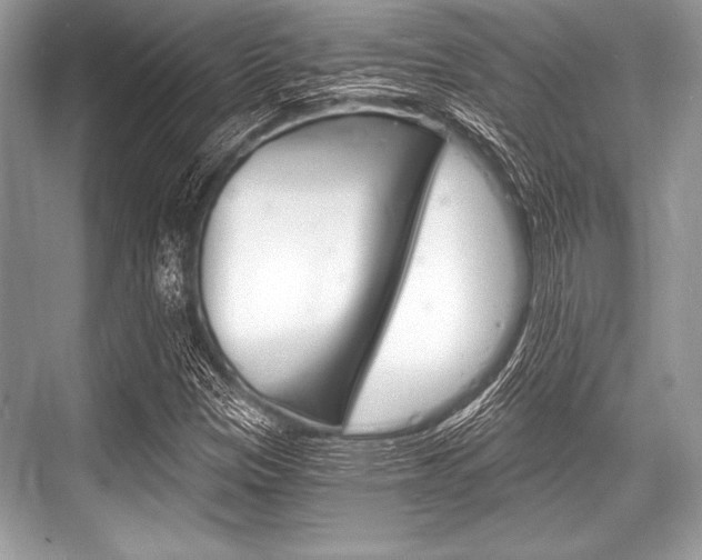 X0000068811305200605050906