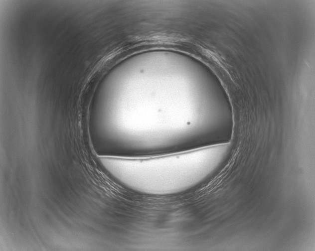 X0000068811307200605050906