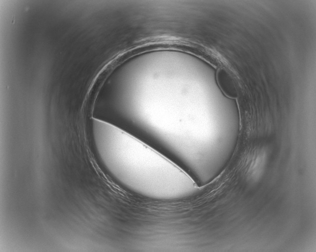 X0000068811318200605050906