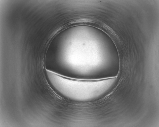 X0000068811321200605050906
