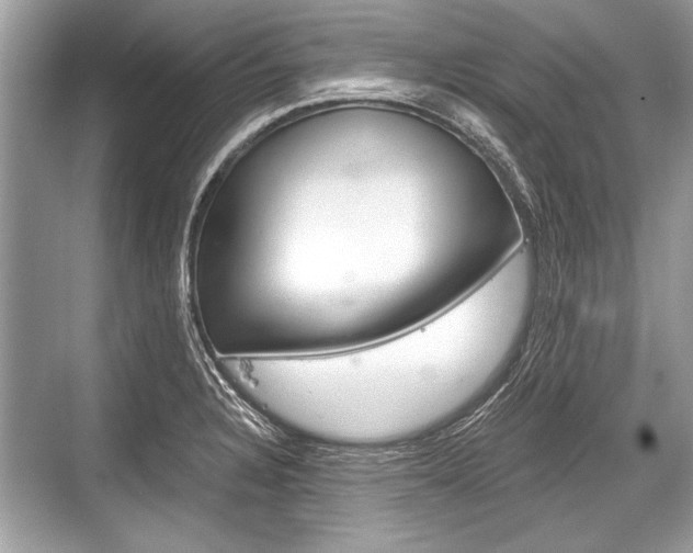 X0000068811328200605050906