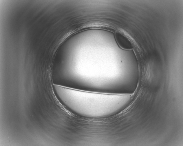 X0000068811329200605050906