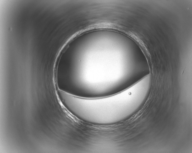 X0000068811342200605050907