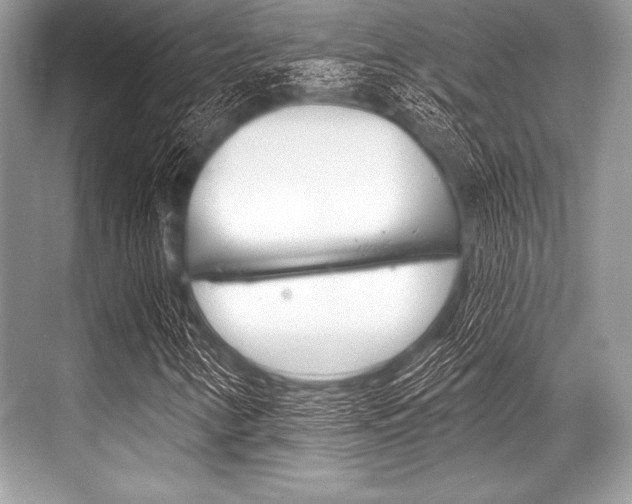 X0000068811346200605050906