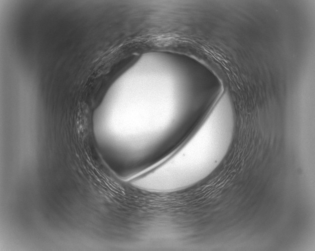X0000068811349200605050906