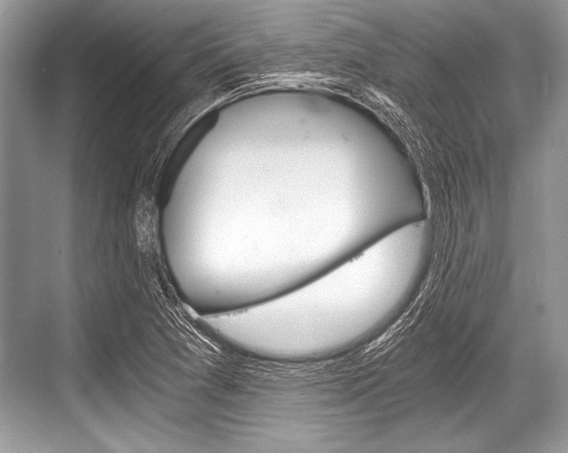 X0000068811361200605050906