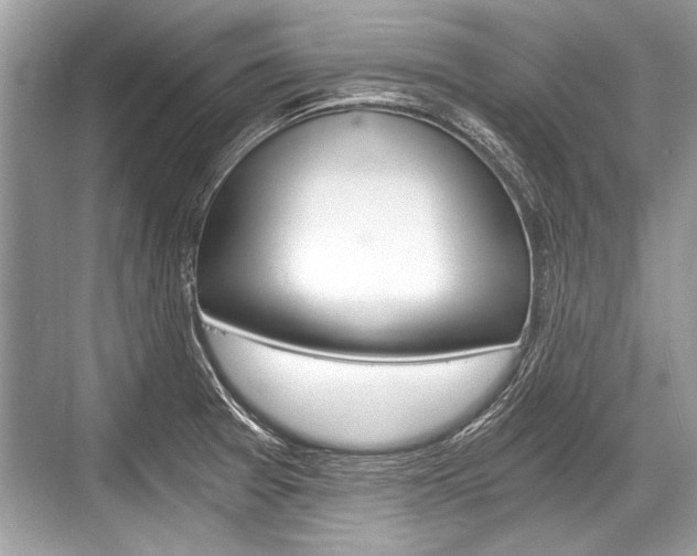 X0000068811377200605050905
