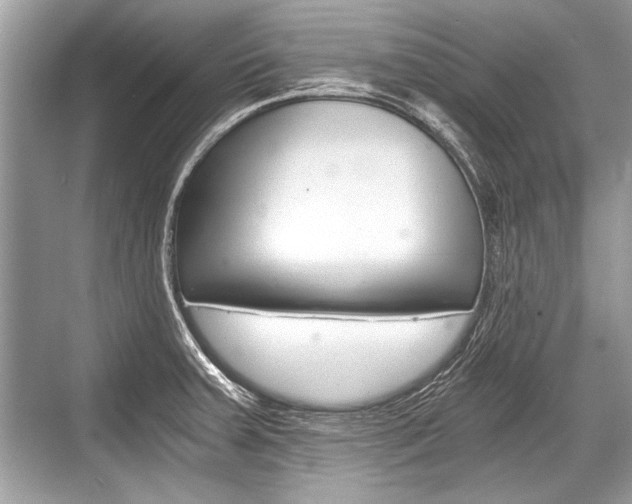 X0000068811379200605050905