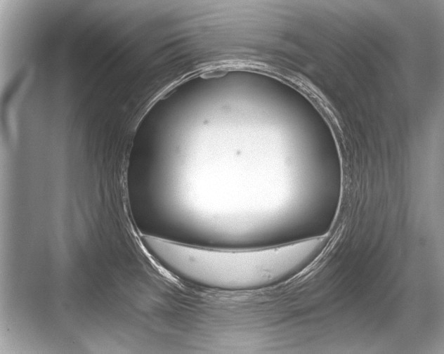 X0000068811385200605050905